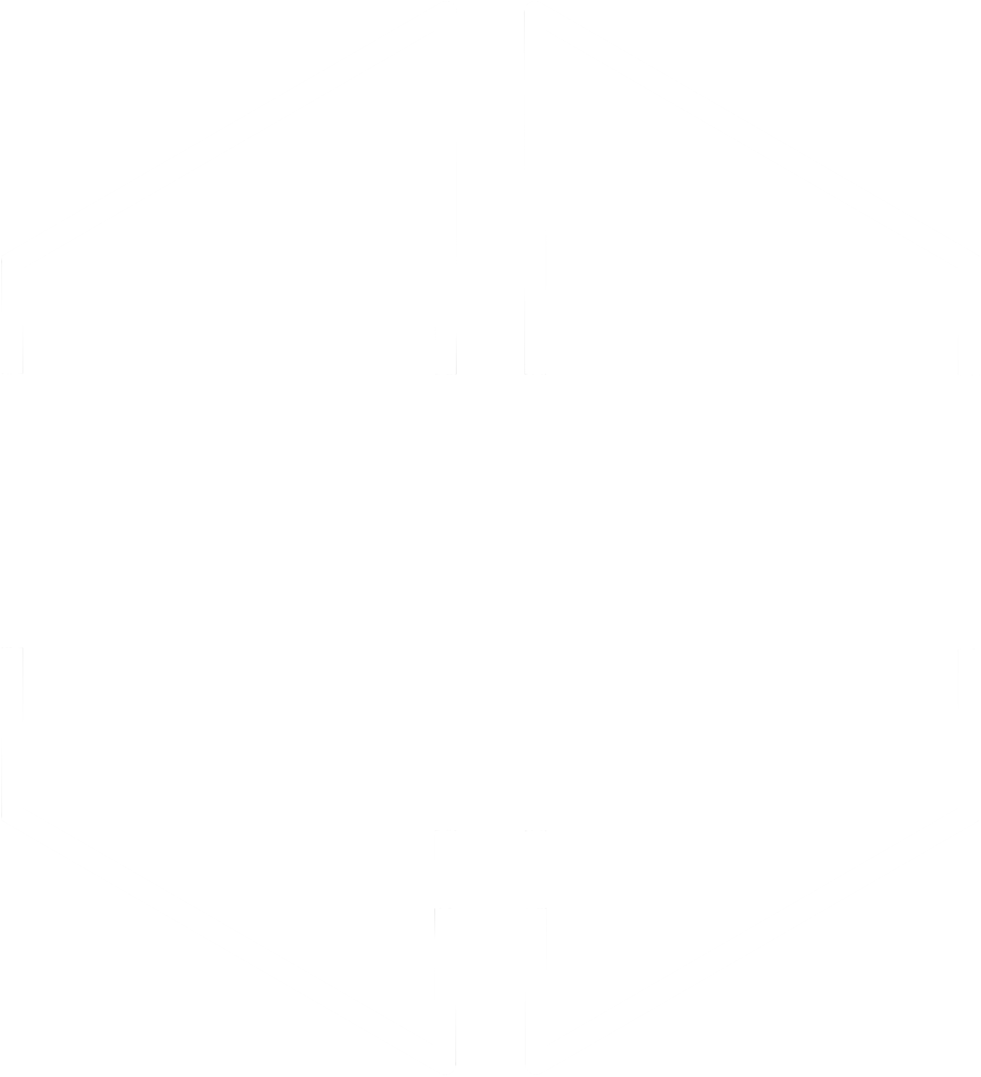 Double Battle Format